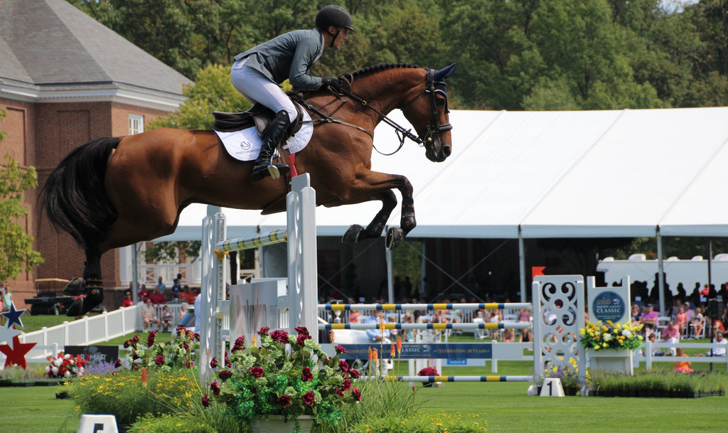horse jumping