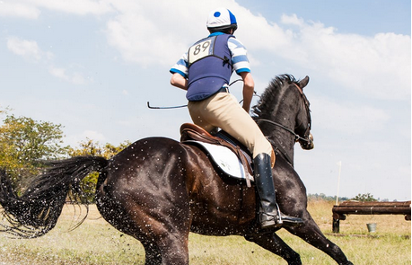 horse racing